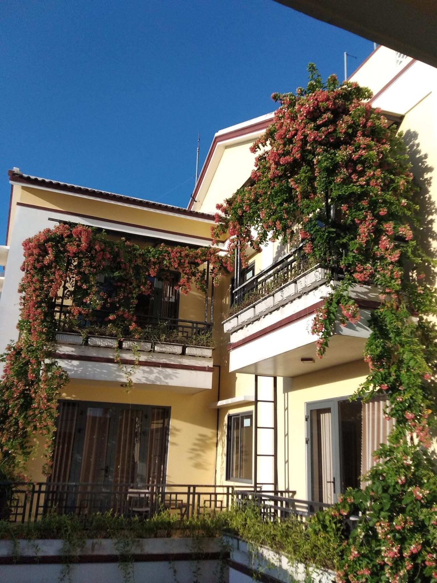 Hoi An Town Of Viet House Homestay Exteriér fotografie